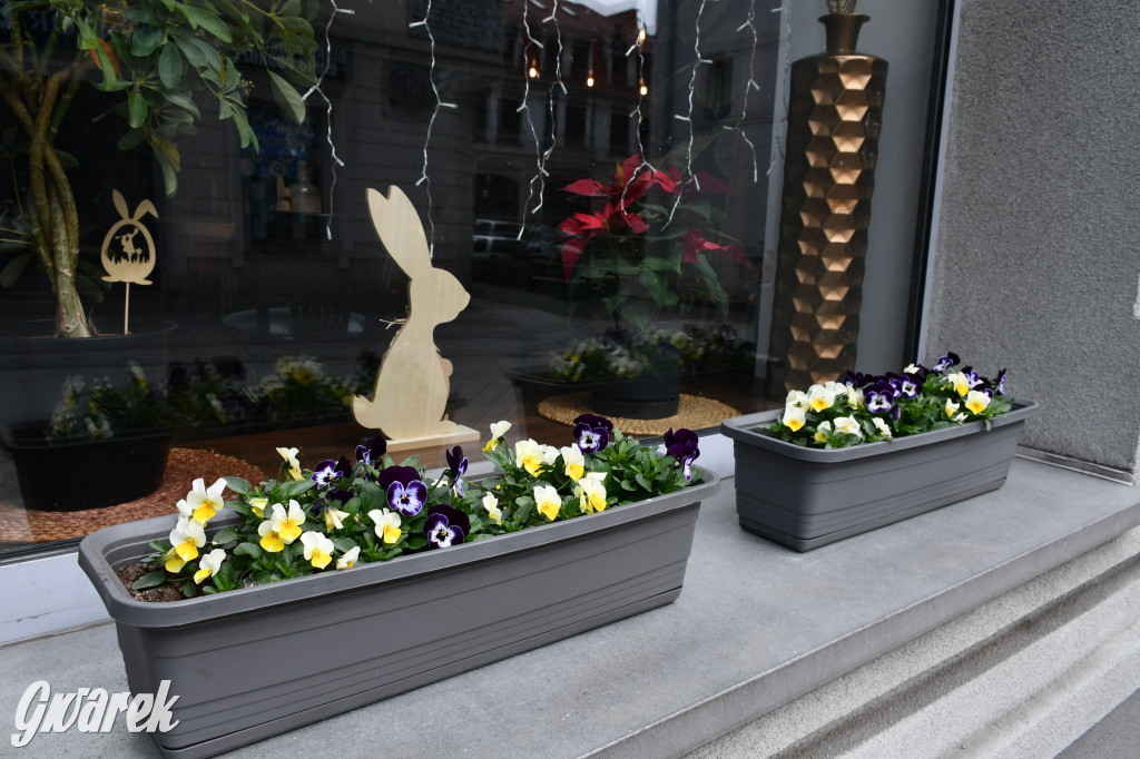 Tarnowskie Góry. Czujecie już święta?