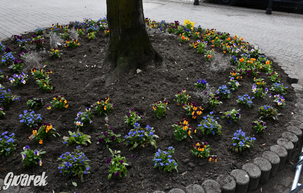 Tarnowskie Góry. Czujecie już święta?