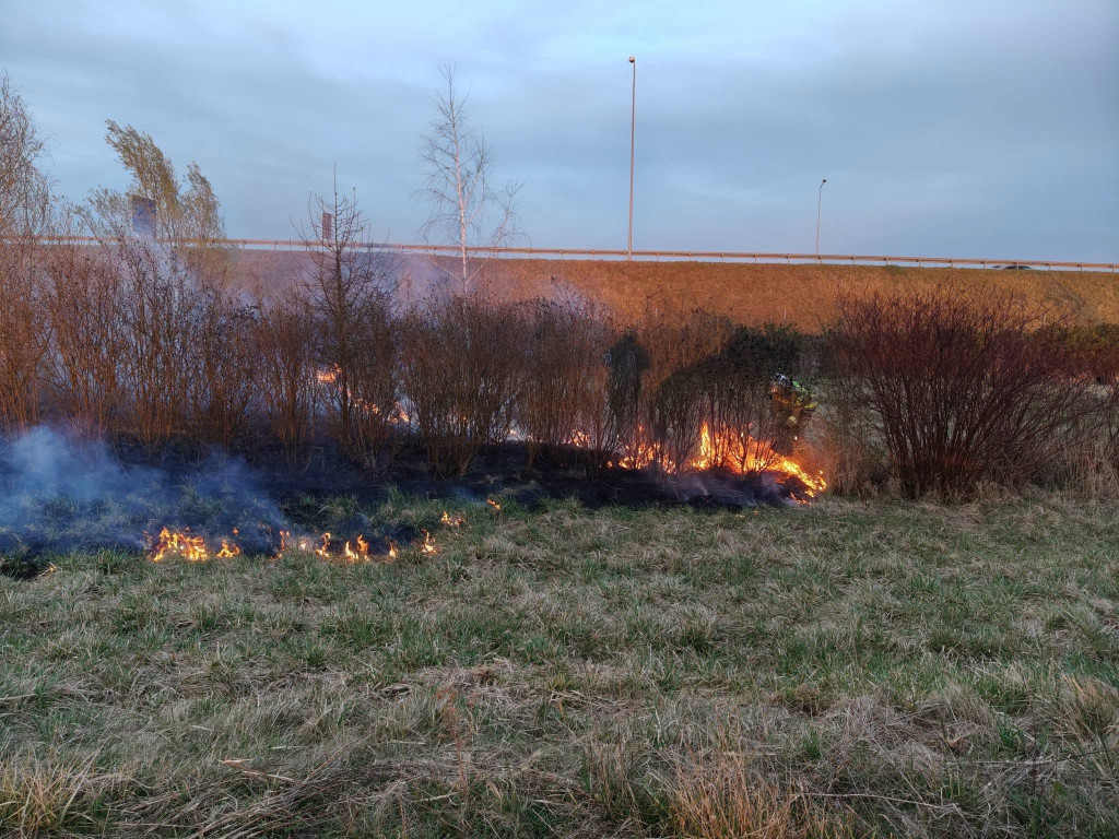 Pożar przy A1 w Szałszy. W akcji siedem zastępów straży