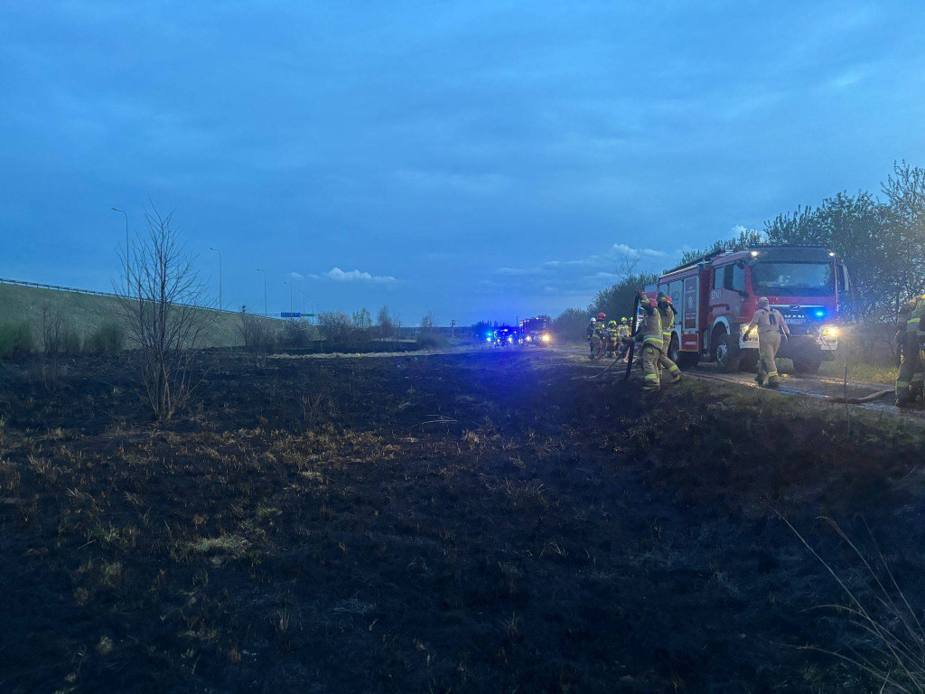 Pożar przy A1 w Szałszy. W akcji siedem zastępów straży