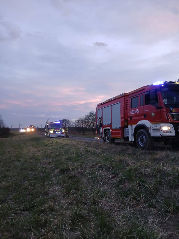 Pożar przy A1 w Szałszy. W akcji siedem zastępów straży