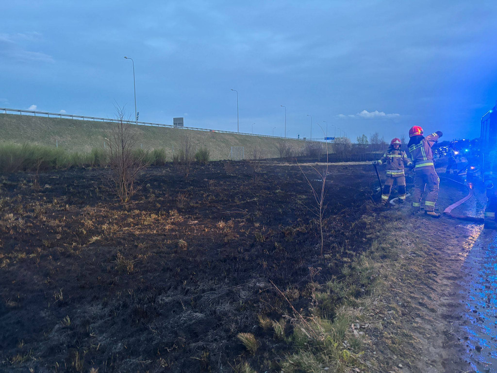 Pożar przy A1 w Szałszy. W akcji siedem zastępów straży