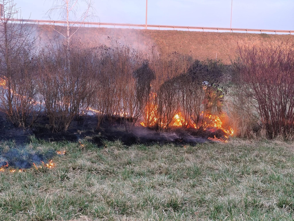 Pożar przy A1 w Szałszy. W akcji siedem zastępów straży