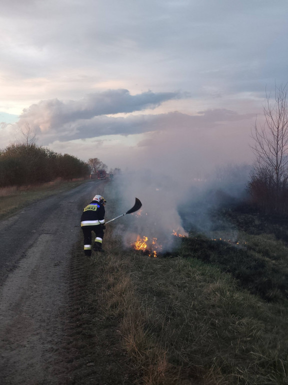 Pożar przy A1 w Szałszy. W akcji siedem zastępów straży