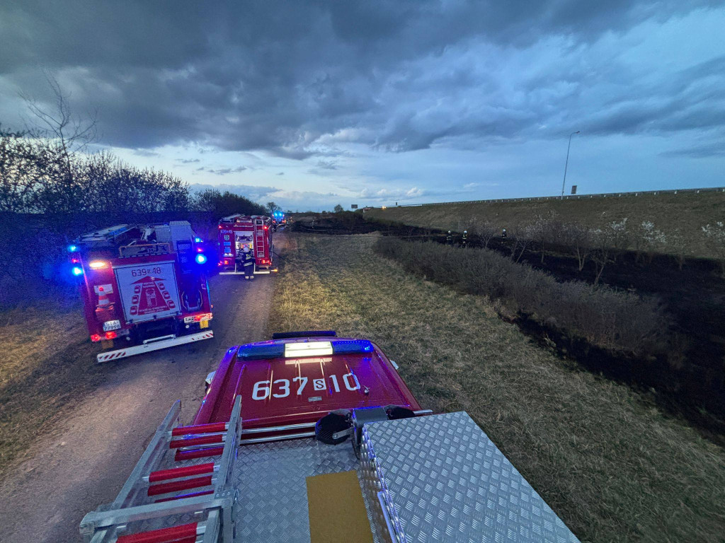 Pożar przy A1 w Szałszy. W akcji siedem zastępów straży