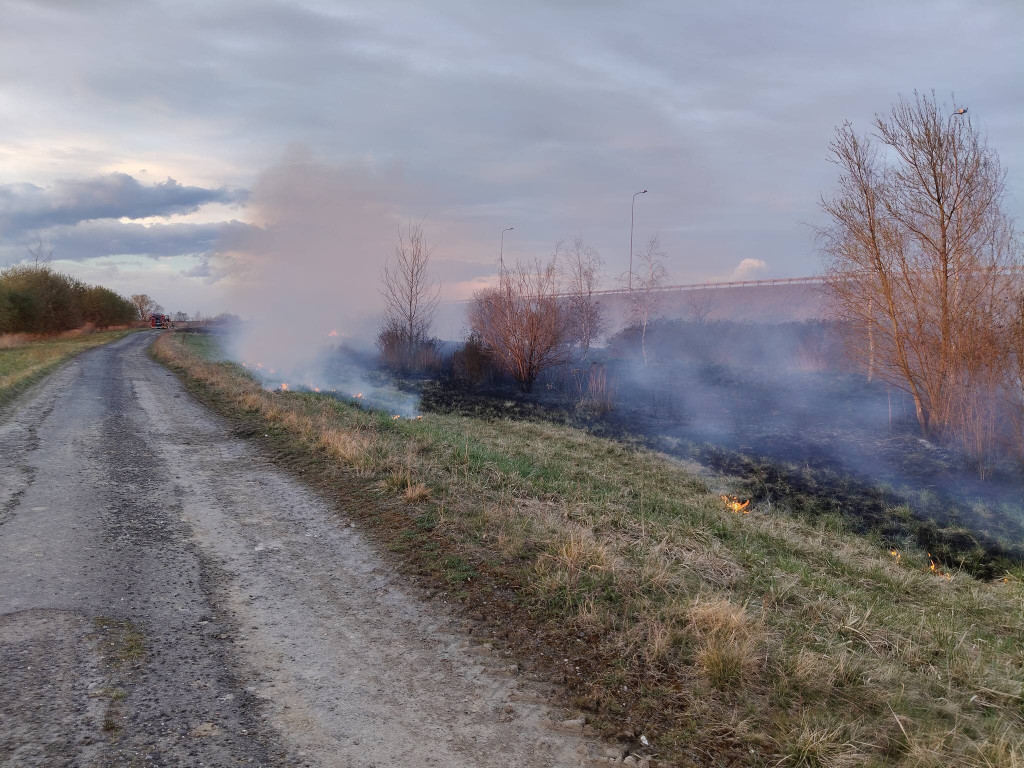 Pożar przy A1 w Szałszy. W akcji siedem zastępów straży