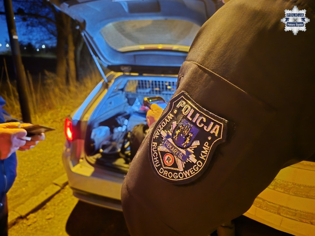 Policjanci na drogach. Kogo łapali?