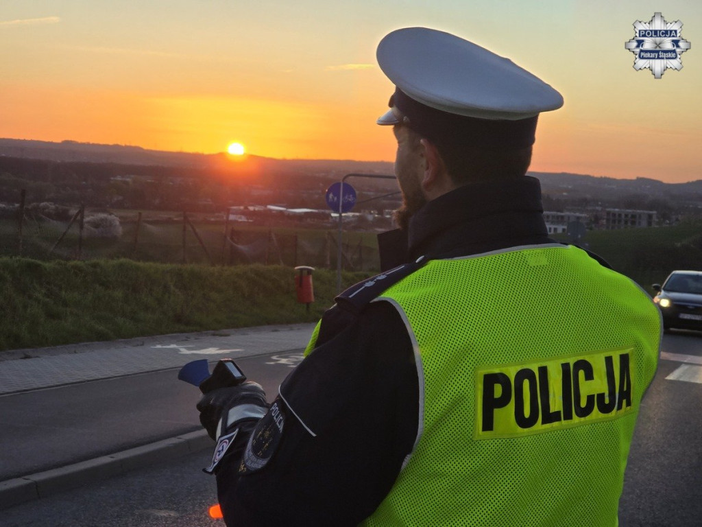 Policjanci na drogach. Kogo łapali?