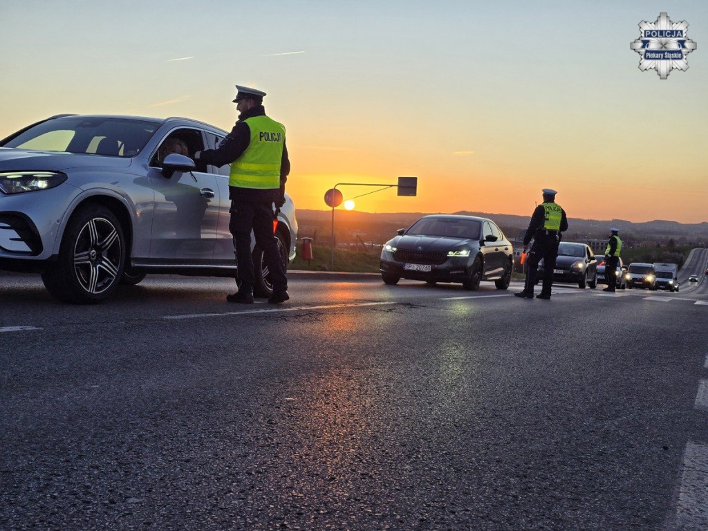 Policjanci na drogach. Kogo łapali?