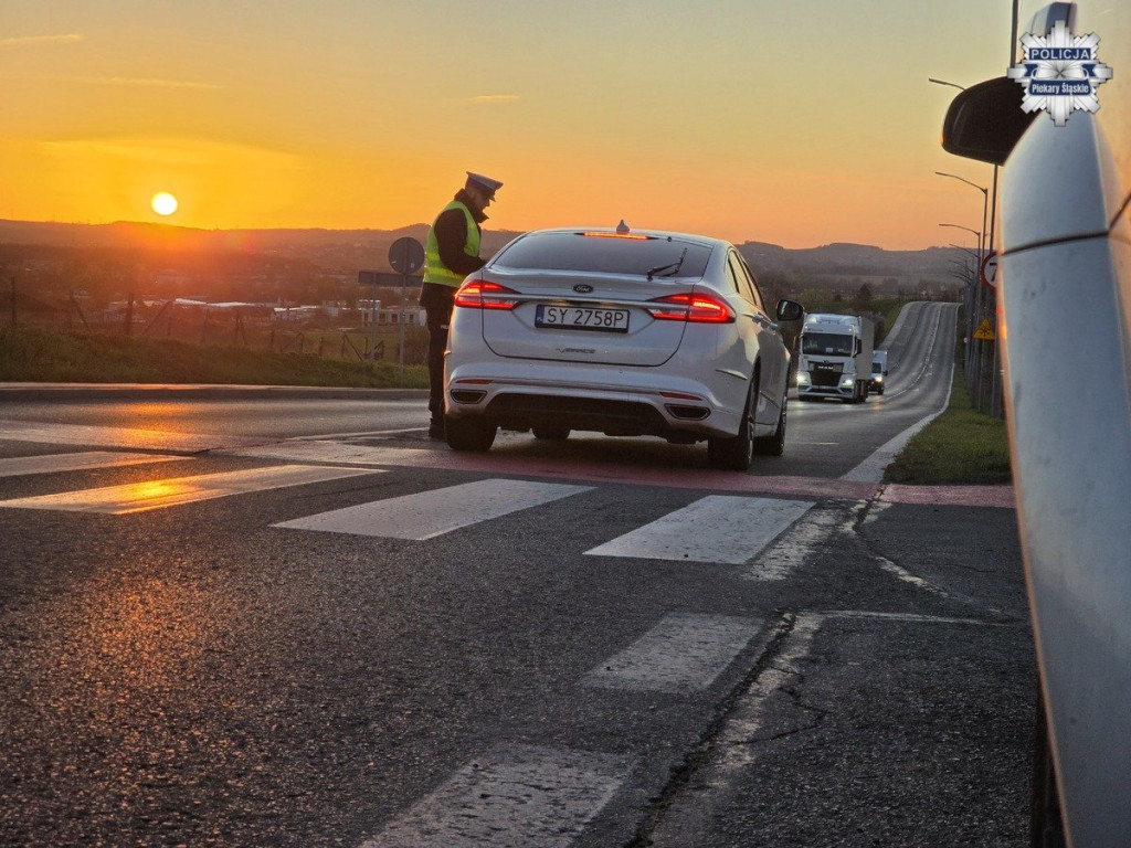 Policjanci na drogach. Kogo łapali?