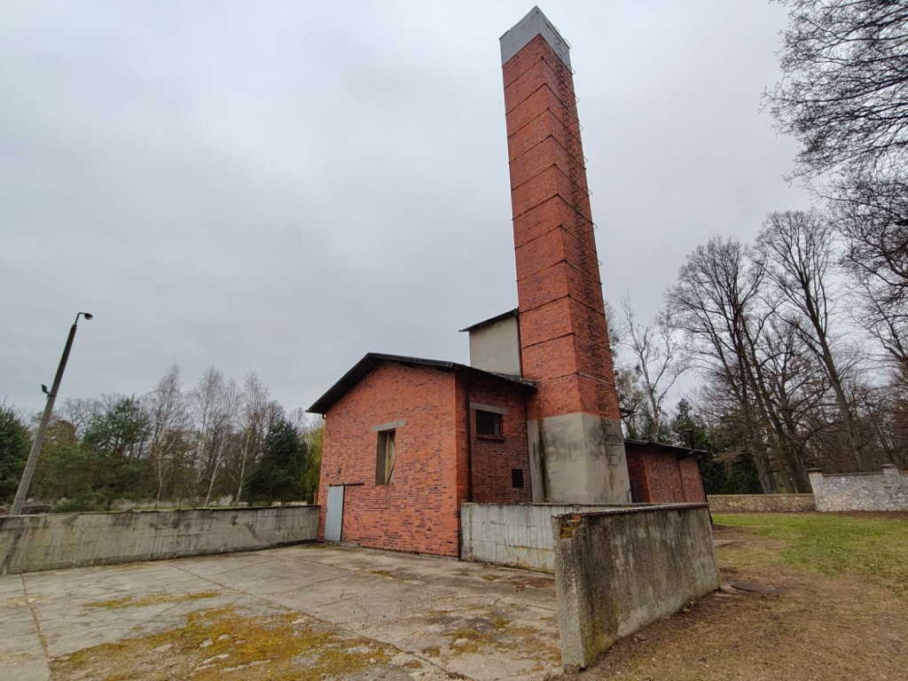 Nowe życie stajni. Do zabytkowego parku wracają konie