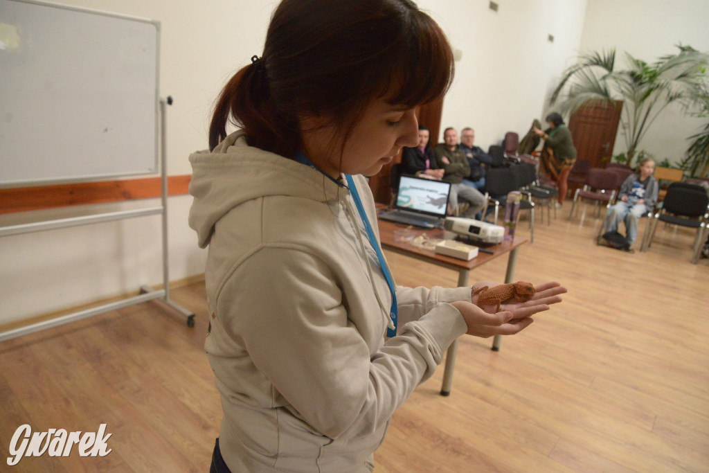 Drapieżniki opanowały Radzionków