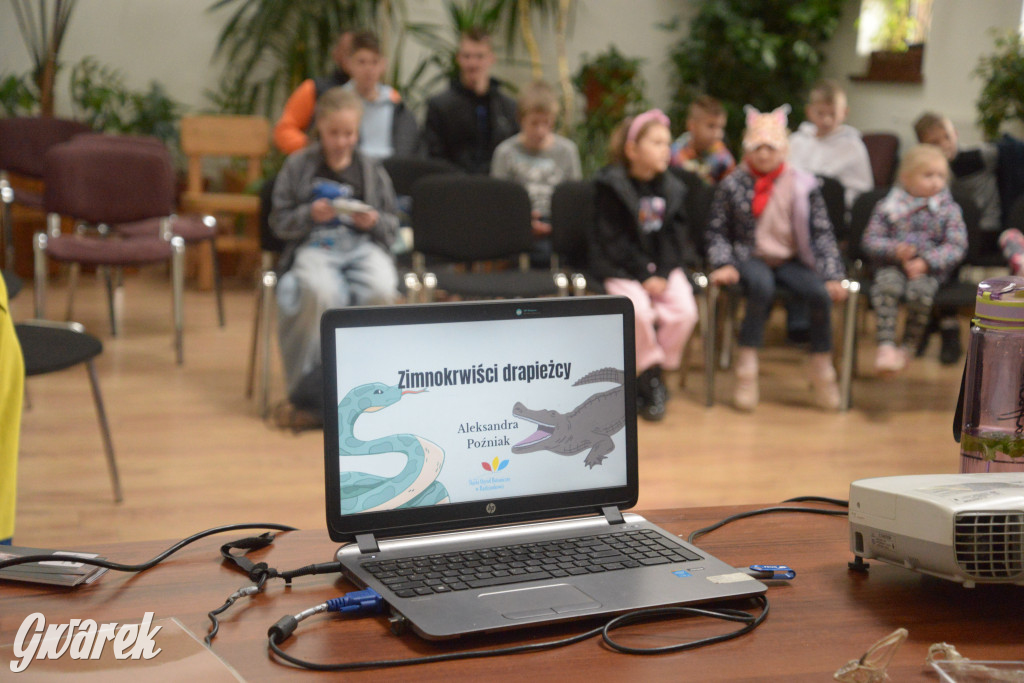 Drapieżniki opanowały Radzionków