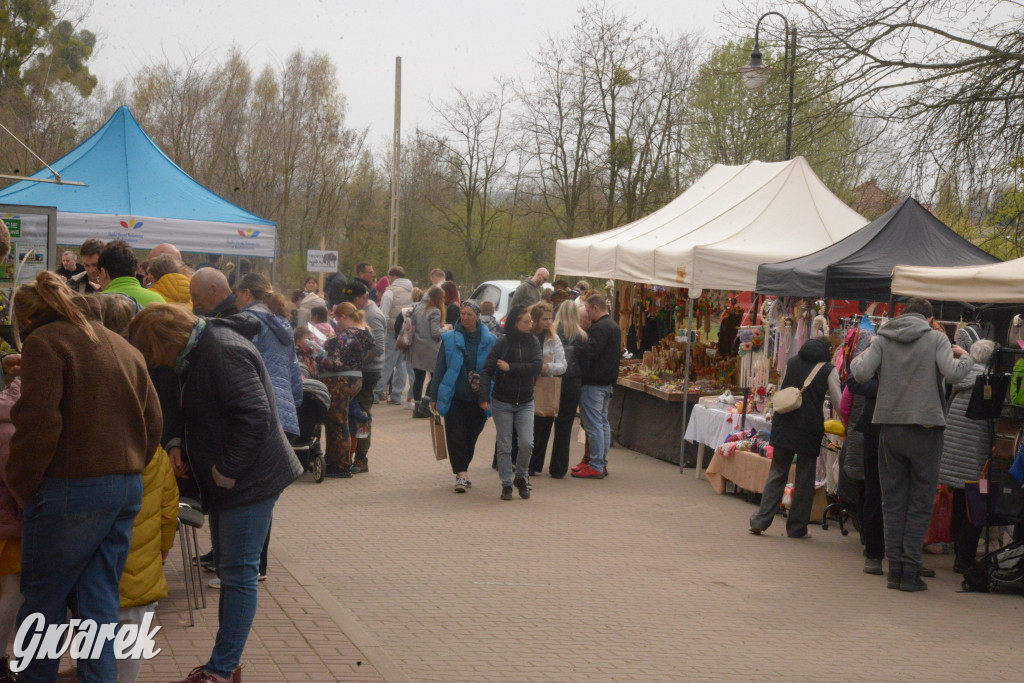 Drapieżniki opanowały Radzionków