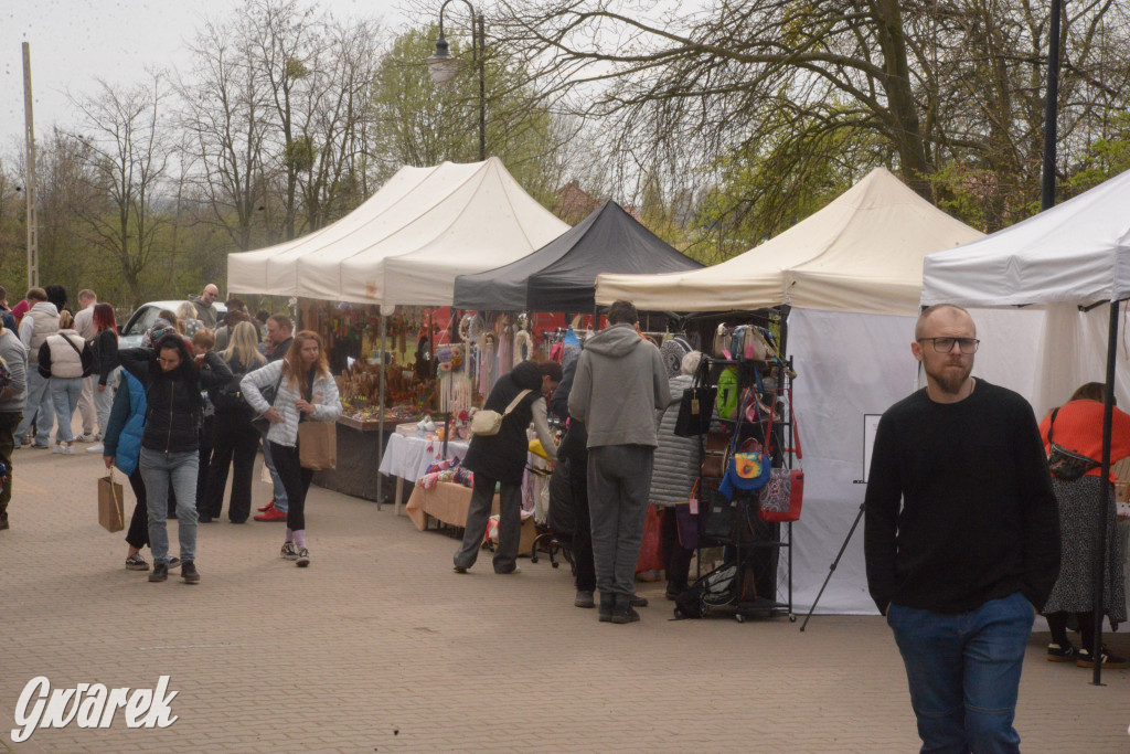 Drapieżniki opanowały Radzionków
