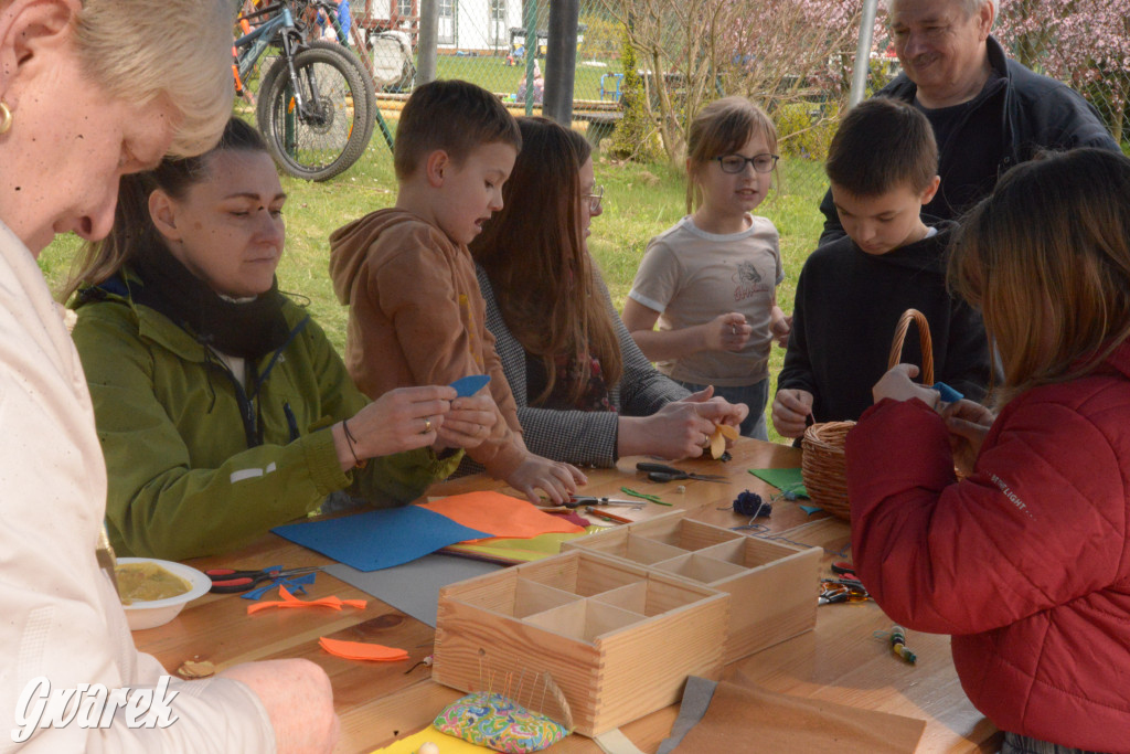 Drapieżniki opanowały Radzionków