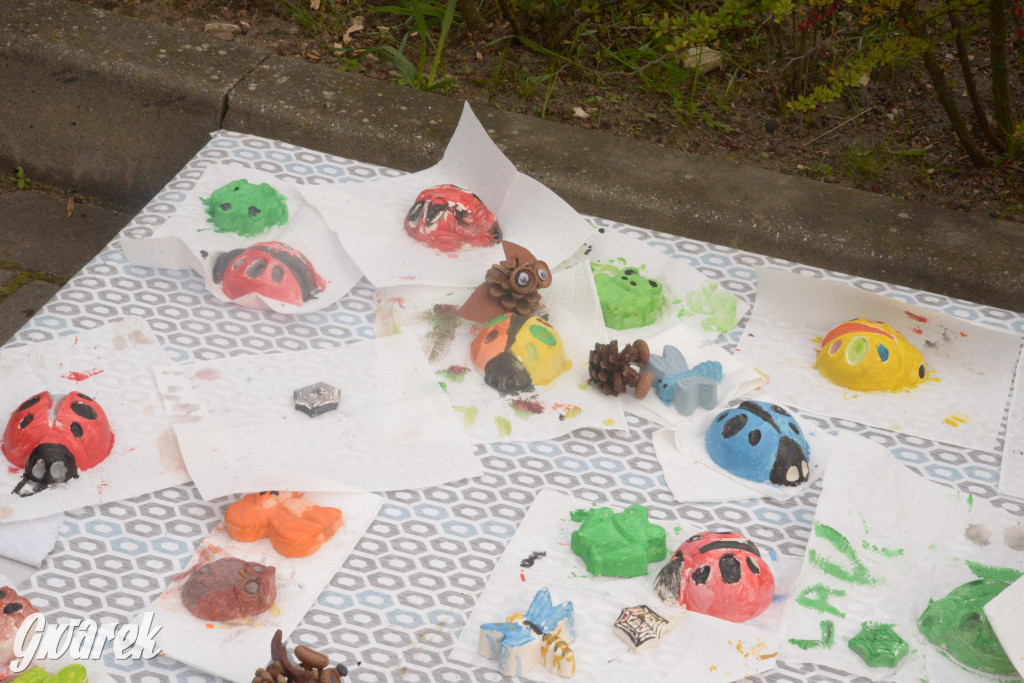 Drapieżniki opanowały Radzionków