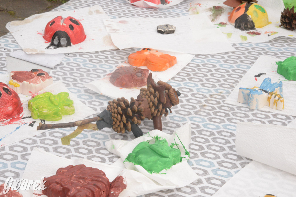 Drapieżniki opanowały Radzionków