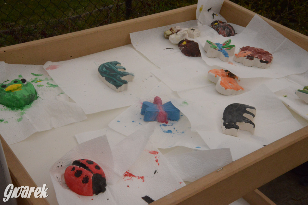 Drapieżniki opanowały Radzionków