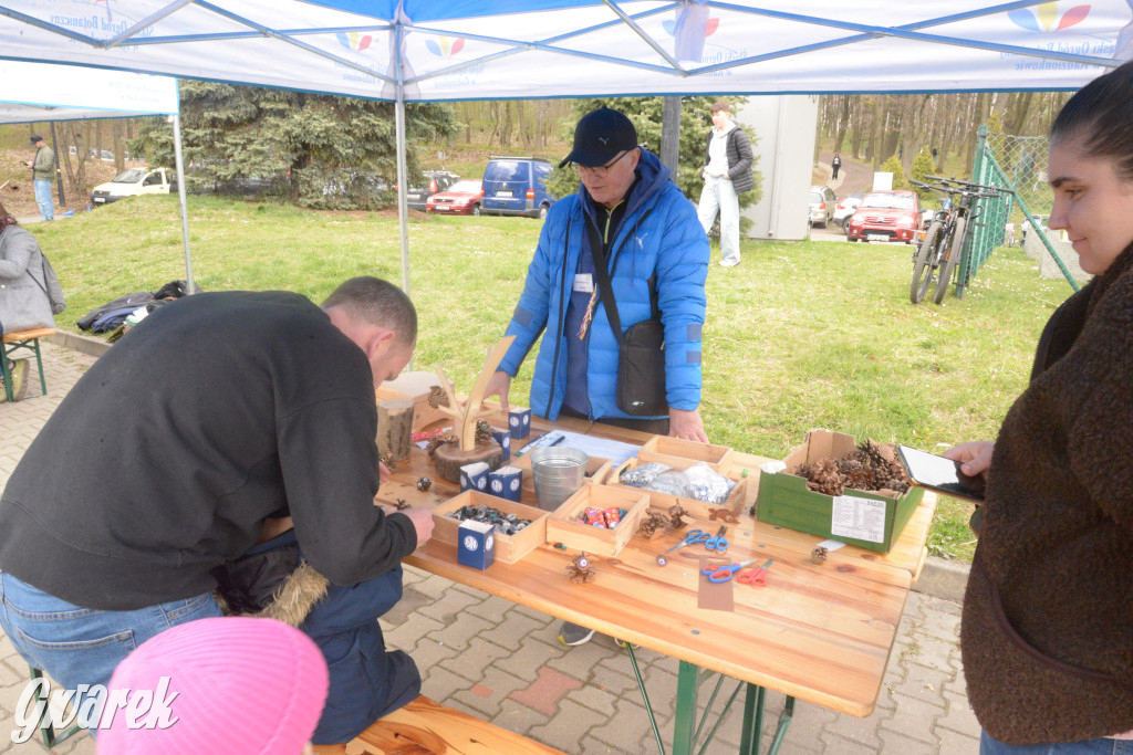 Drapieżniki opanowały Radzionków