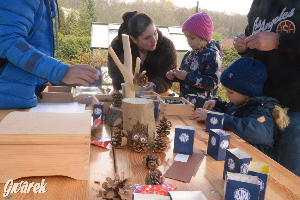 Drapieżniki opanowały Radzionków