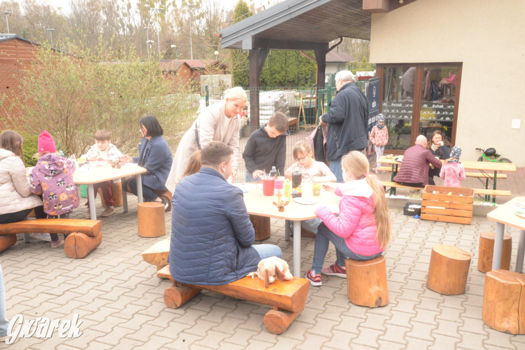 Drapieżniki opanowały Radzionków