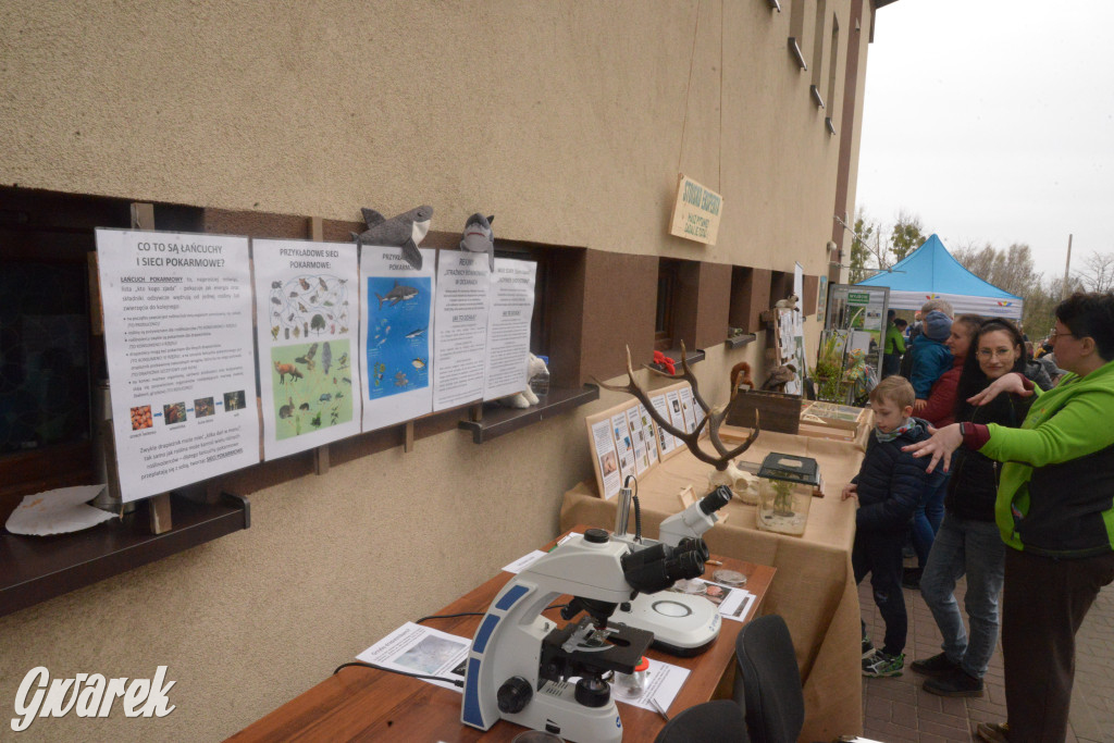 Drapieżniki opanowały Radzionków