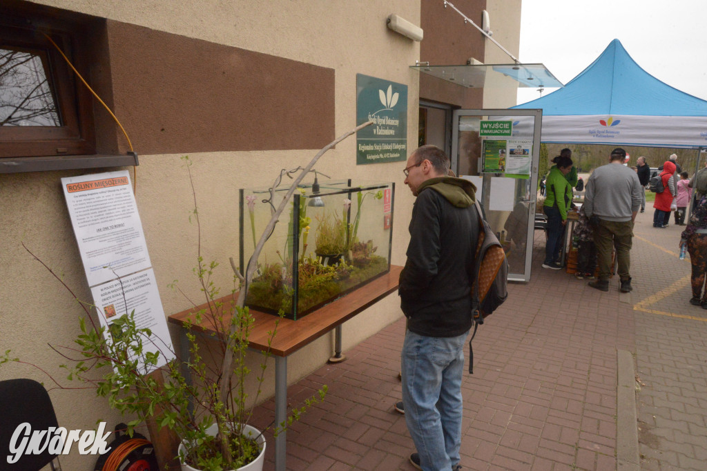 Drapieżniki opanowały Radzionków