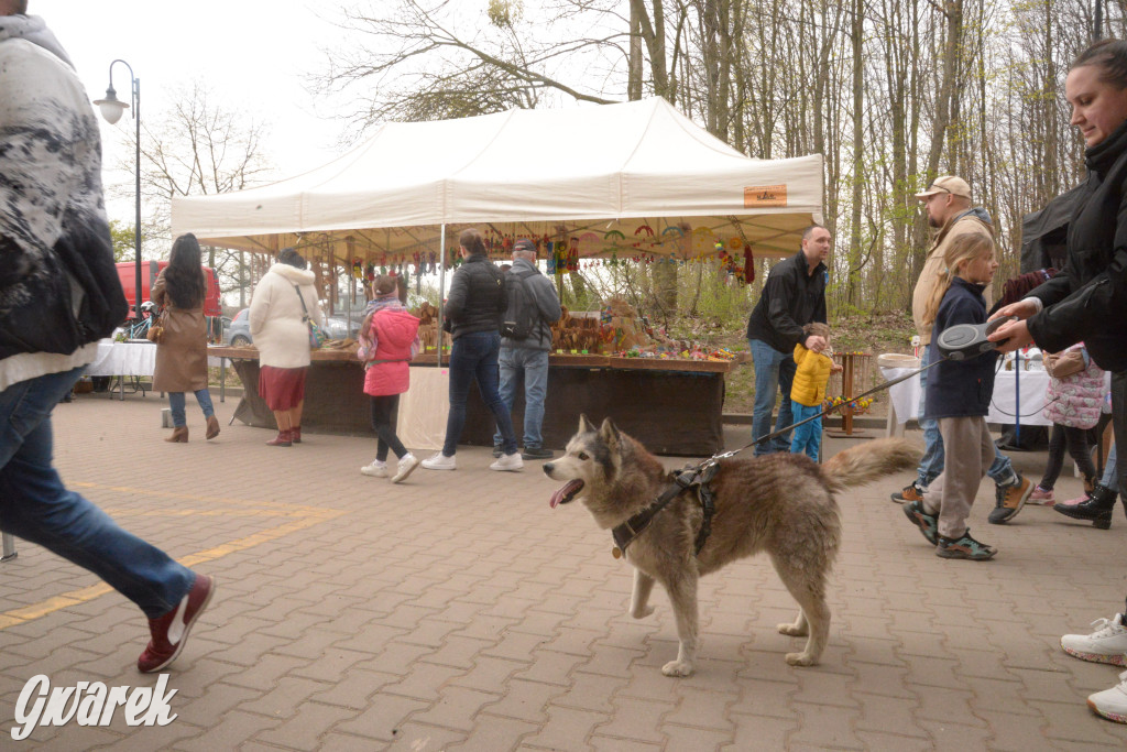 Drapieżniki opanowały Radzionków