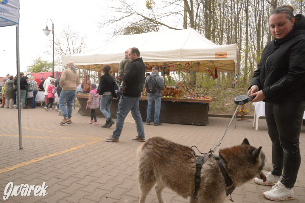 Drapieżniki opanowały Radzionków