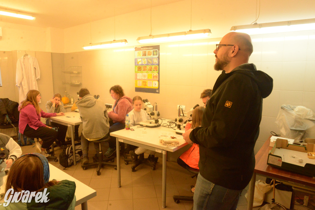 Drapieżniki opanowały Radzionków