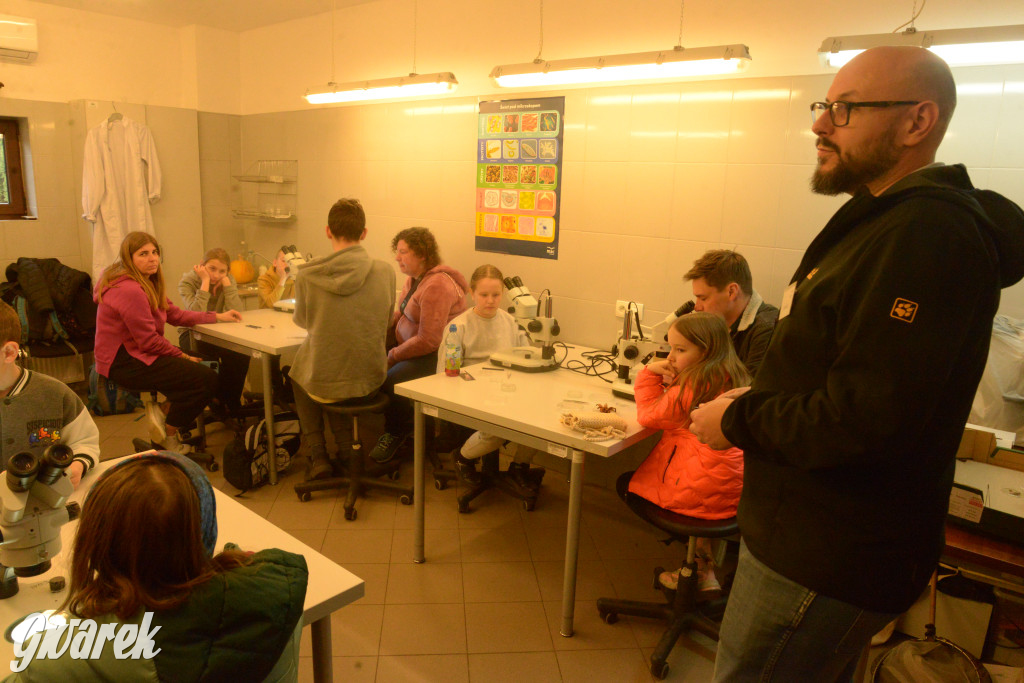 Drapieżniki opanowały Radzionków