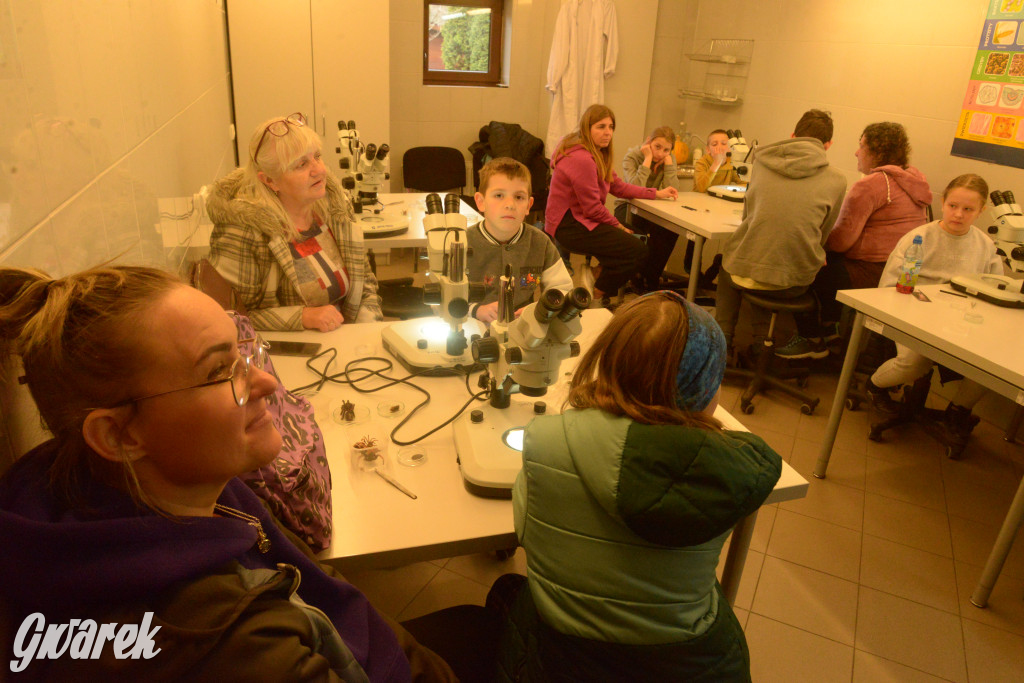 Drapieżniki opanowały Radzionków