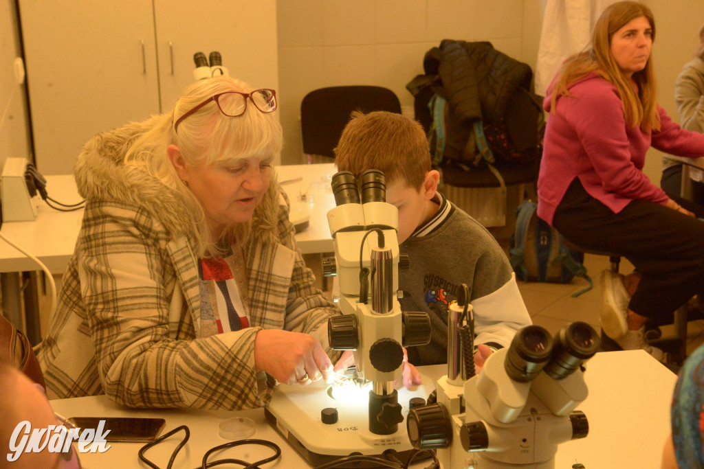 Drapieżniki opanowały Radzionków