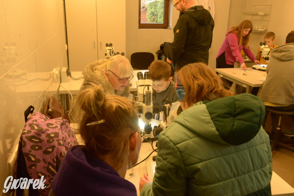 Drapieżniki opanowały Radzionków