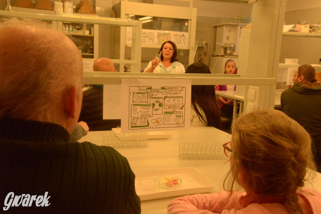 Drapieżniki opanowały Radzionków