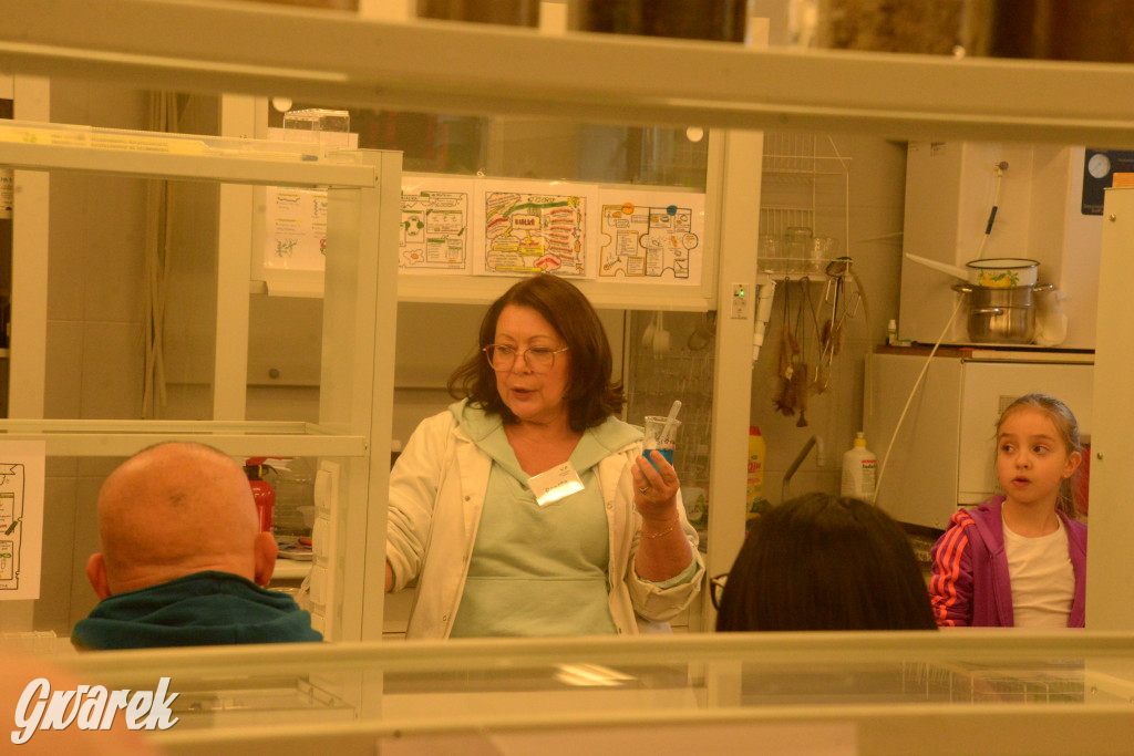 Drapieżniki opanowały Radzionków