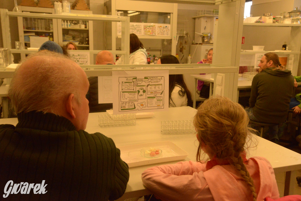 Drapieżniki opanowały Radzionków