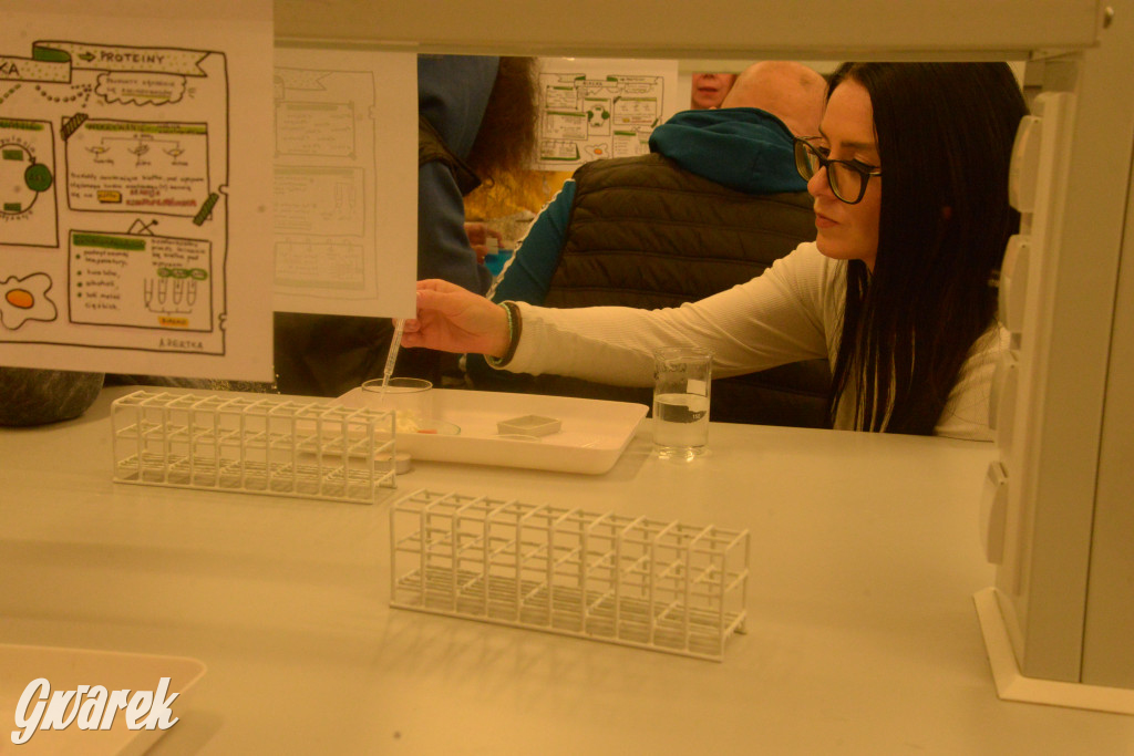 Drapieżniki opanowały Radzionków