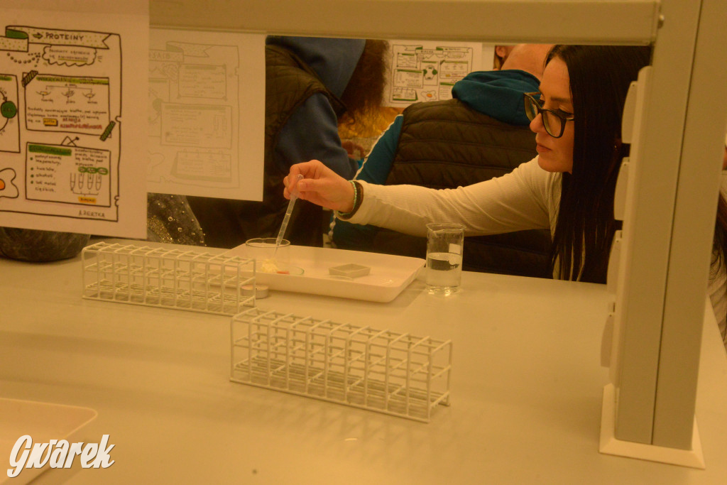 Drapieżniki opanowały Radzionków