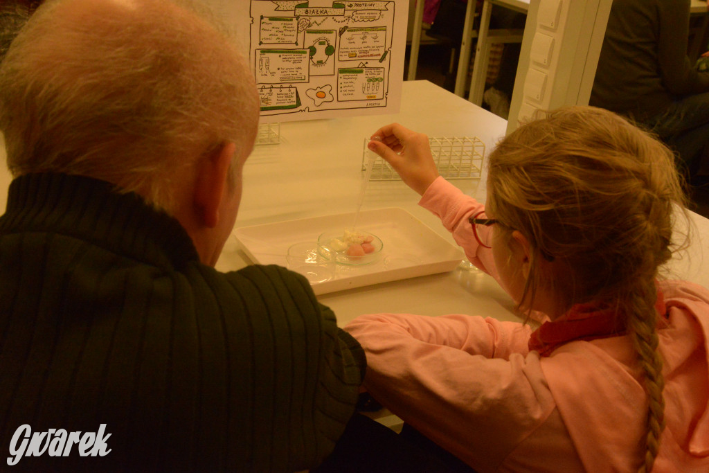 Drapieżniki opanowały Radzionków