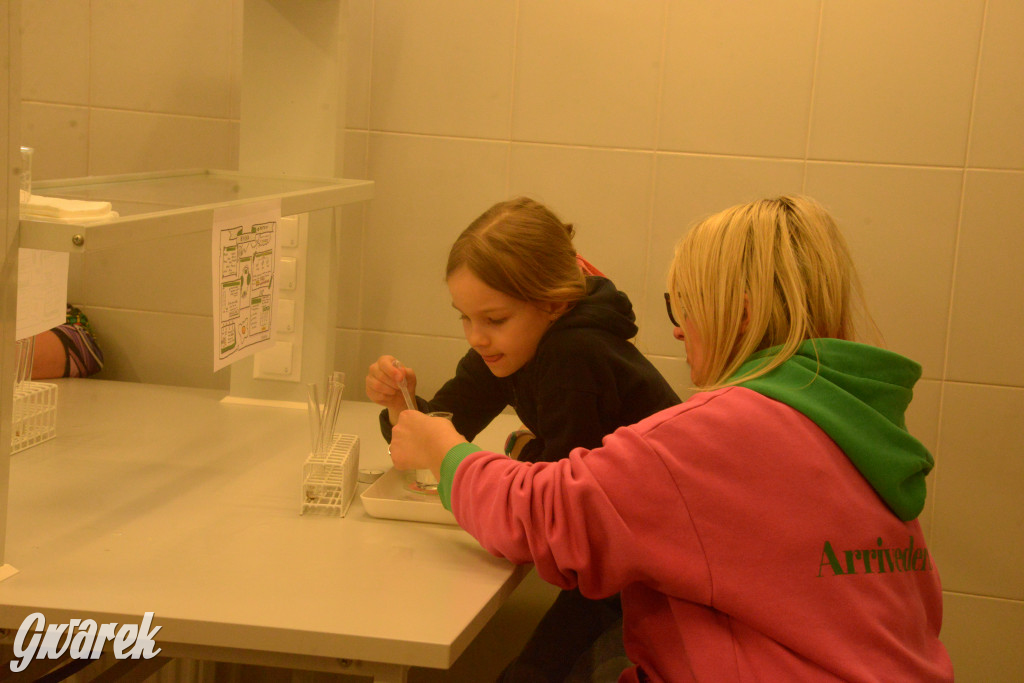 Drapieżniki opanowały Radzionków