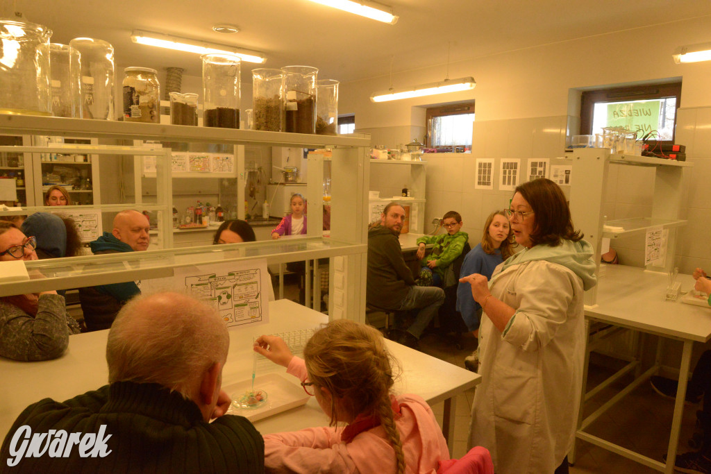 Drapieżniki opanowały Radzionków