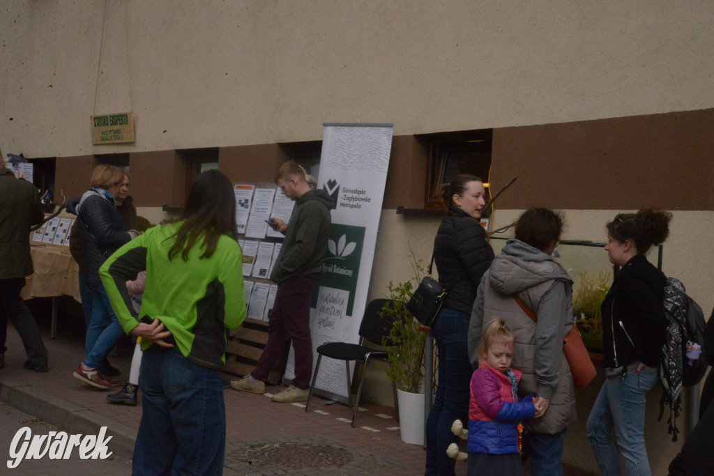 Drapieżniki opanowały Radzionków