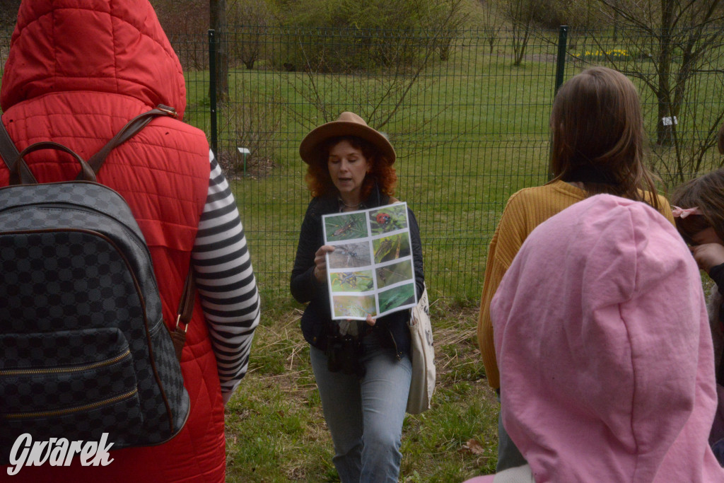 Drapieżniki opanowały Radzionków