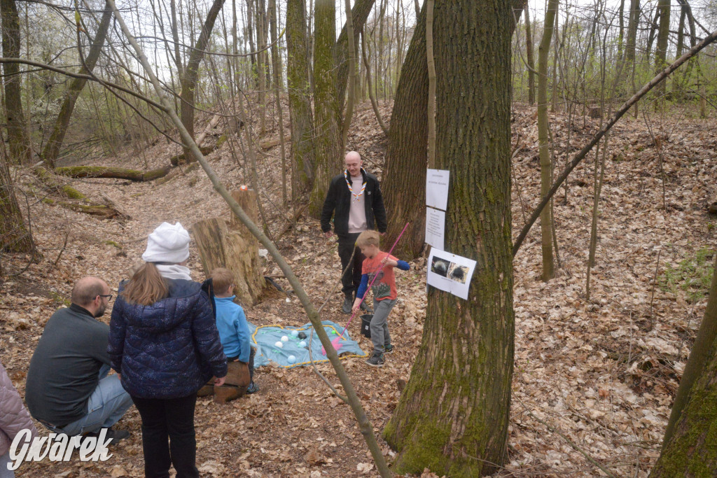 Drapieżniki opanowały Radzionków
