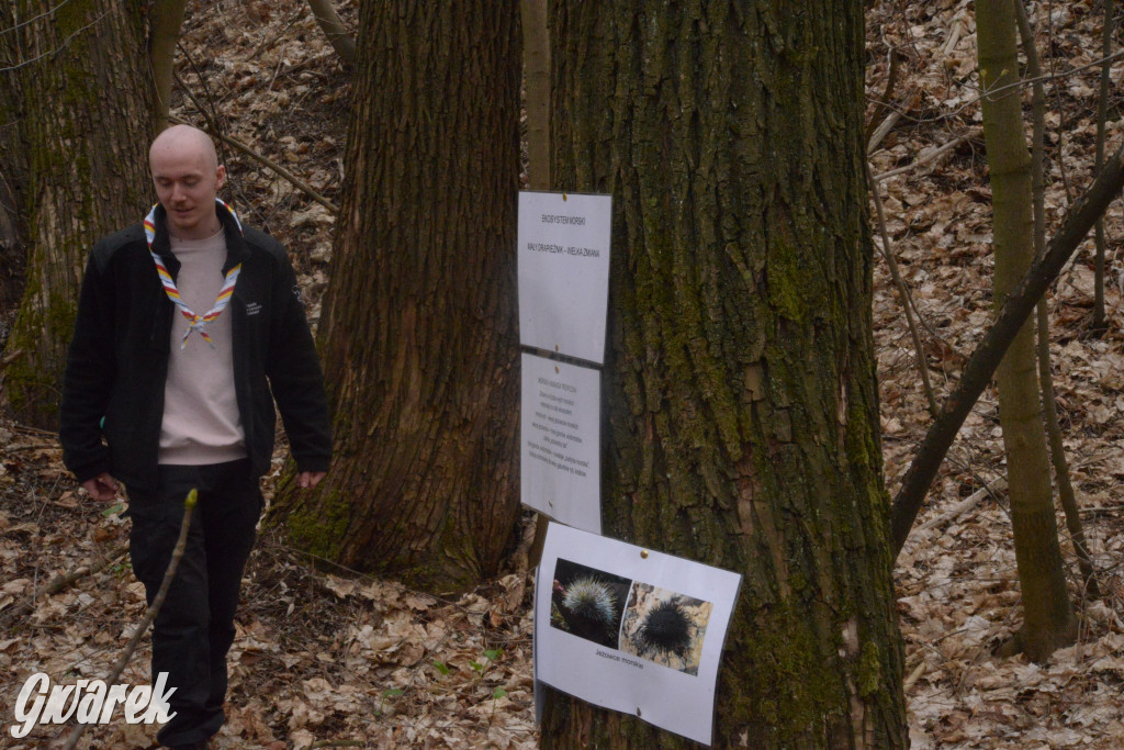 Drapieżniki opanowały Radzionków