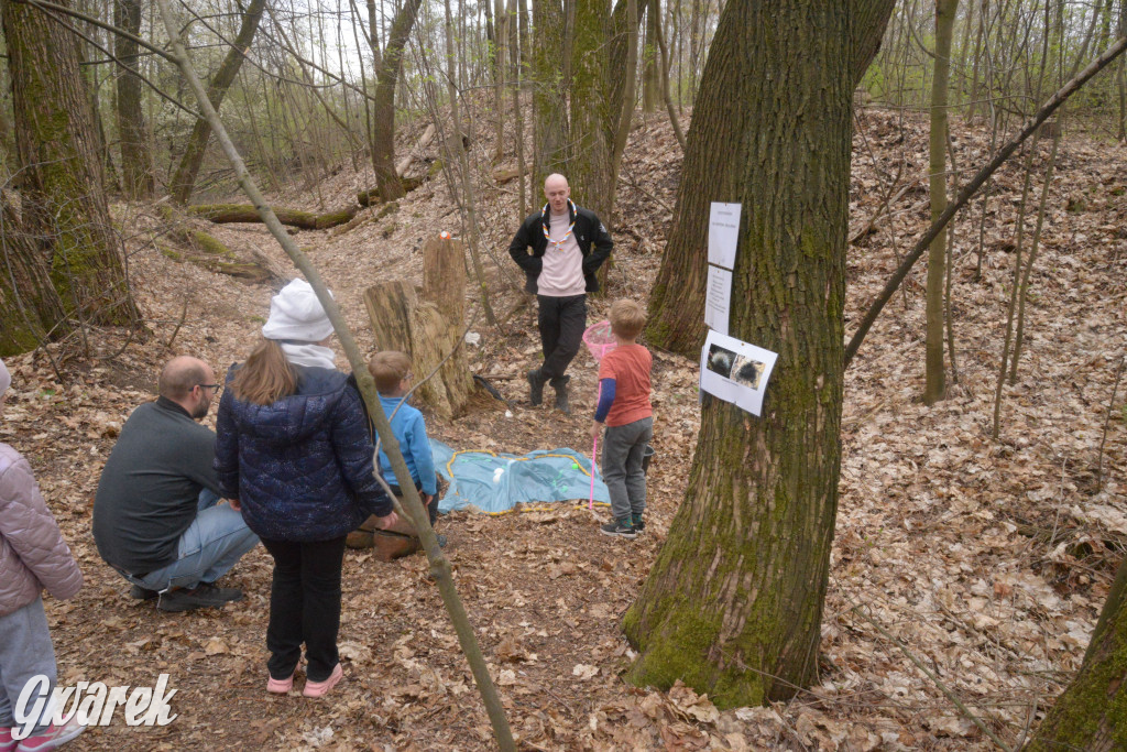 Drapieżniki opanowały Radzionków