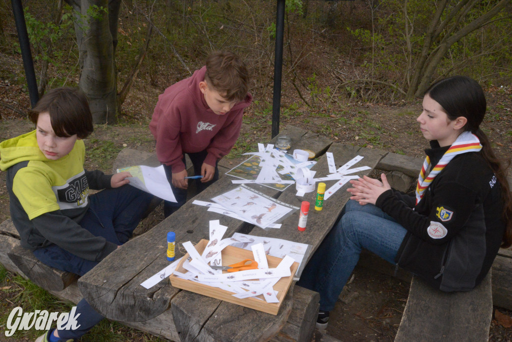 Drapieżniki opanowały Radzionków