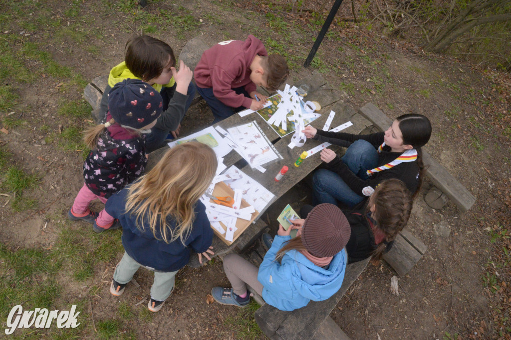 Drapieżniki opanowały Radzionków